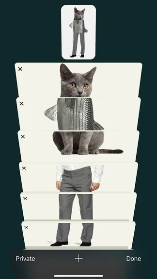 Tab Puzzle